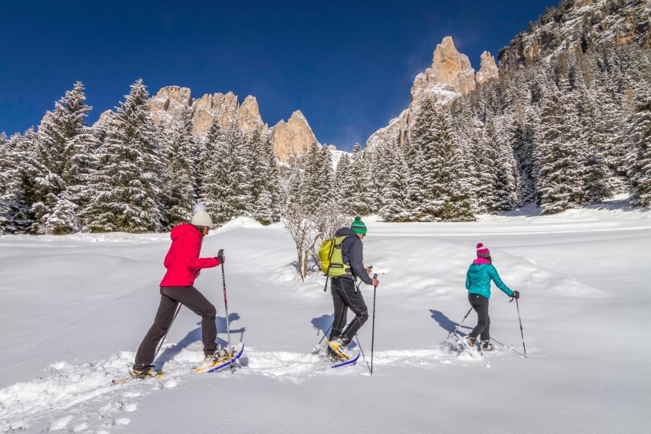 Hotel Ladinia Dolomites View Поцца-ді-Фасса Екстер'єр фото
